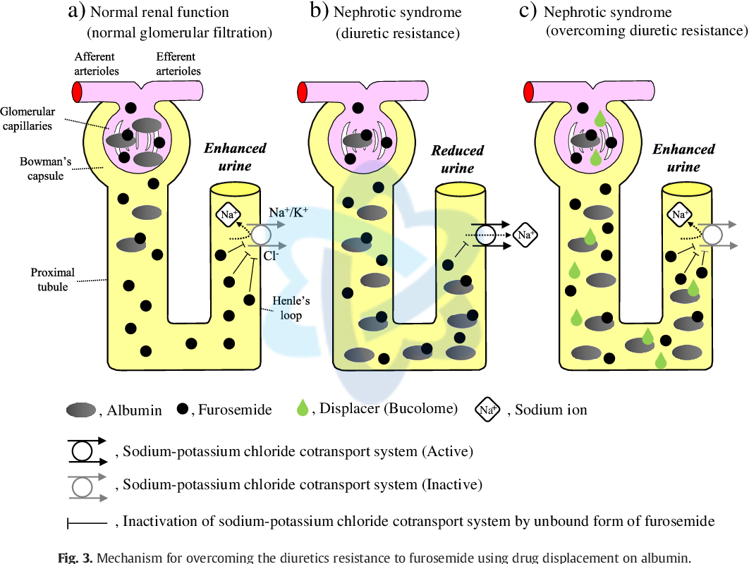 5 Figure3 1