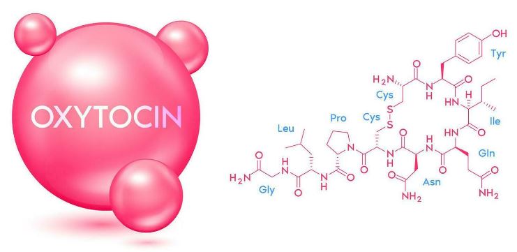 Cảnh báo nguy cơ sai sót khi sử dụng oxytocin trong quá trình chuyển dạ và sinh con