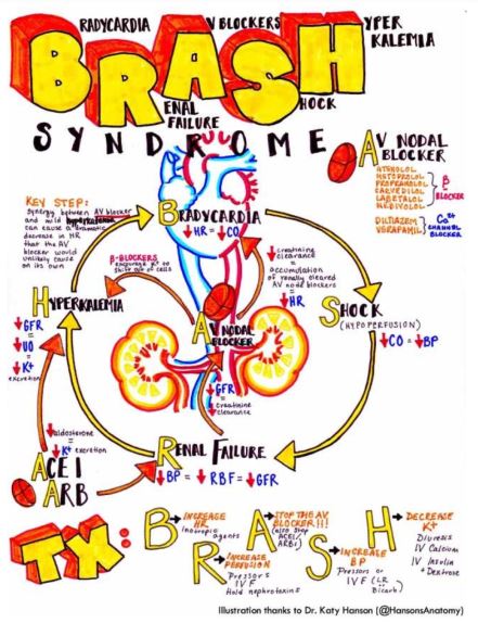 BRASH